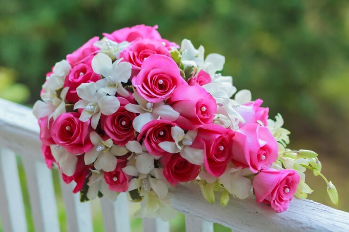 kurraba point flower delivery